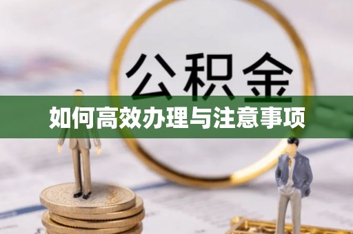 托克逊如何高效办理与注意事项
